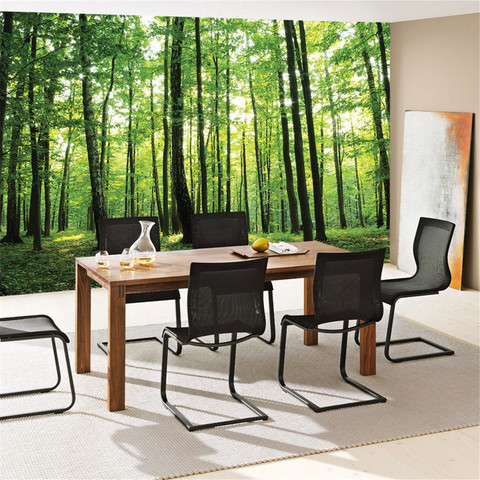 Fototapete B�ume Wald Sonne Wiese� no. 528