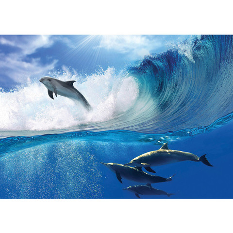 Fototapete Delfin Meer Welle Tropfen Sonne Wasser no. 531