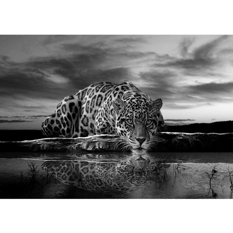 Fototapete Jaguar Sonnenuntergang Himmel Wasser no. 614