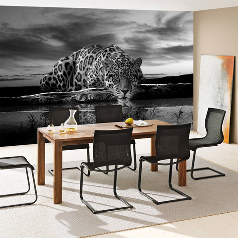 Fototapete Jaguar Sonnenuntergang Himmel Wasser no. 614