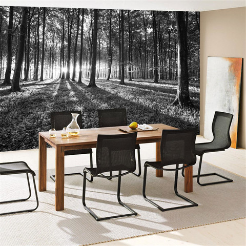 Fototapete Sonnenuntergang Wald B�ume Wiese� no. 642