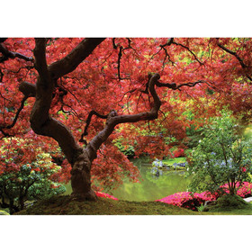 Fototapete Baum See Wiese Stamm Bltter Blumen Brcke...