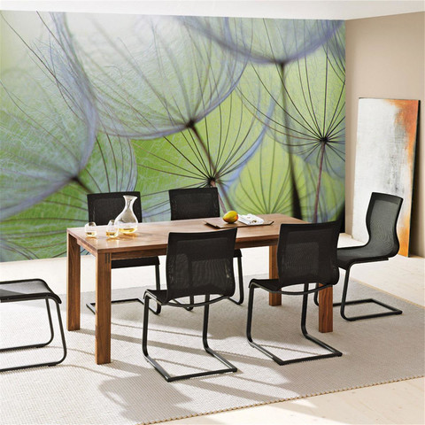 Fototapete Pusteblume Bl�te Blume Geflecht Netz Streifen� no. 829