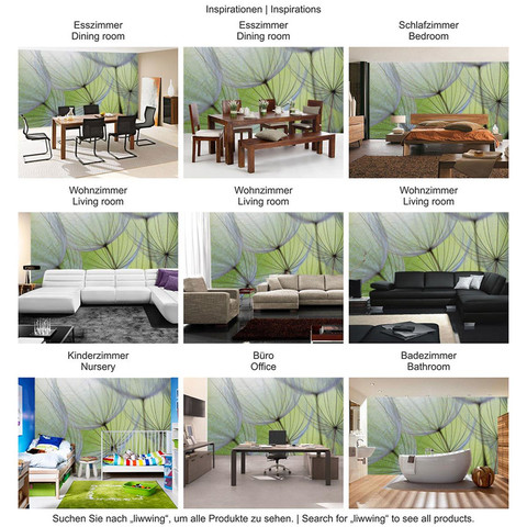 Fototapete Pusteblume Bl�te Blume Geflecht Netz Streifen� no. 829