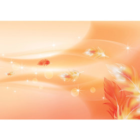 Fototapete Abstrakt Ornamente Perle Feder Stern Welle...