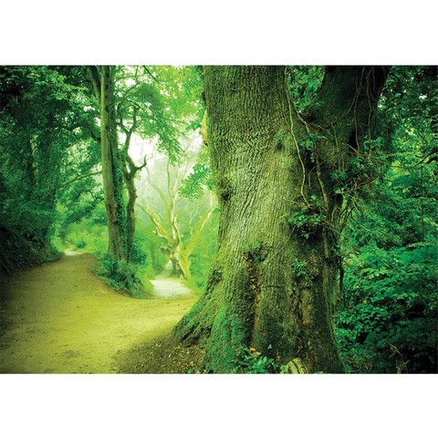Fototapete Baum Weg Bltter Grn Wald Stamm no. 865