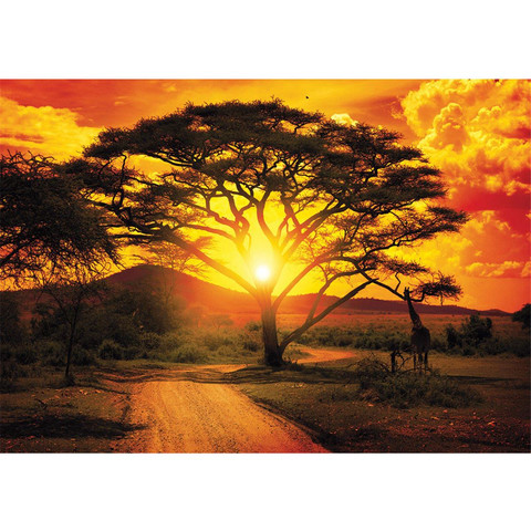 Vlies Fototapete no. 999 | Afrika Tapete Sonnenuntergang Baum Weg Giraffe Savanne Himmel Pflanze Afrika gelb