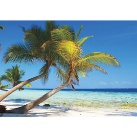 Fototapete Strand Palmen Meer Paradies Wasser blau grn...
