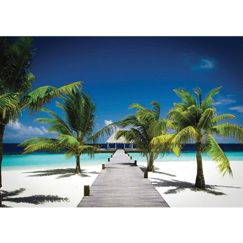 Fototapete Palme Strand Steg Himmel blau Natur� no. 1132
