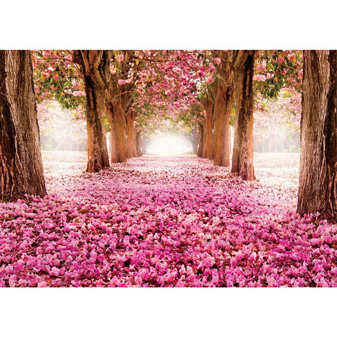 Vlies Fototapete no. 1572 | Natur Tapete Allee Bume...