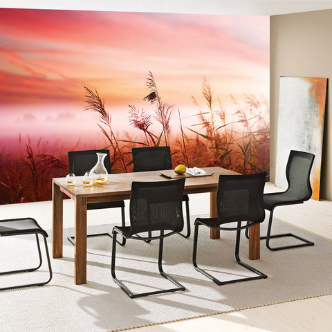 Fototapete Sonnenaufgang Pflanzen Himmel no. 1621