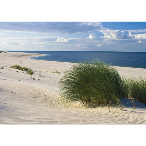 Vlies Fototapete no. 1933 | Strand Tapete Meer Dnen Gras Wolken Ostsee beige