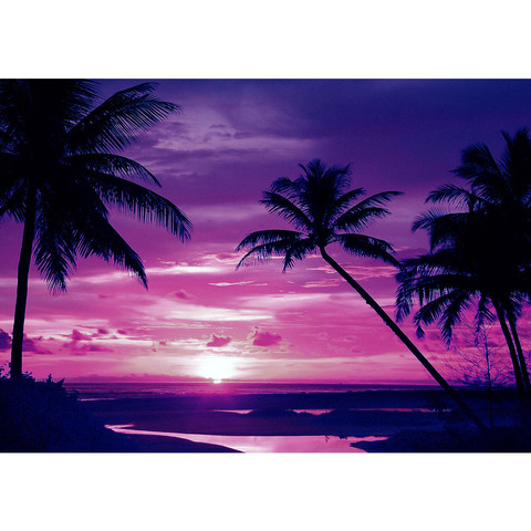 Vlies Fototapete no. 1950 | Sonnenuntergang Tapete Meer Strand Sonnenuntergang Palme Wolken Romantik lila