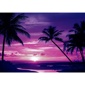 Fototapete Meer Strand Sonnenuntergang Palme Wolken...