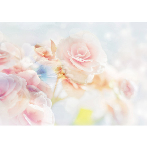 Vlies Fototapete no. 2132 | Blumen Tapete Blten Bltter Rose wei