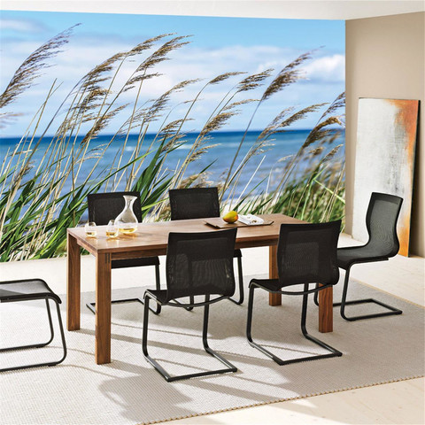 Fototapete Meer Strand Schilf Pflanzen Himmel no. 2201