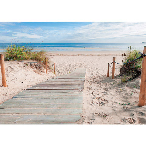 Fototapete Strand Meer Dnen Gras Sand Weg Wolken Himmel no. 2364