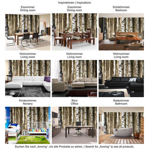 Fototapete Bume Birken Wald no. 2553