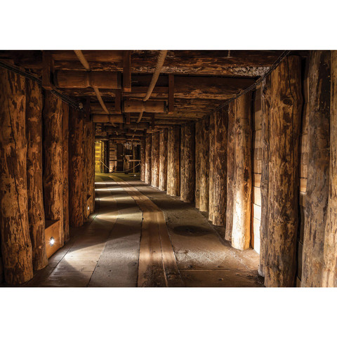 Fototapete Holzstmme Holz Bergwerk Stollen Tunnel Licht no. 2847
