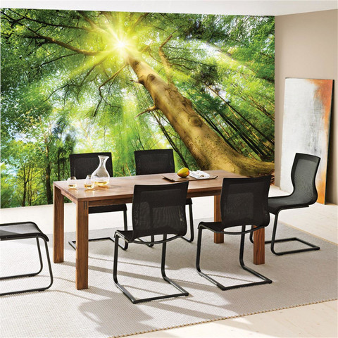 Fototapete Laubbaum Laubwald Sonne Sonnenstrahlen no. 3225
