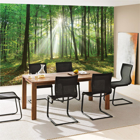 Fototapete Laubbaum Laubwald Sonne Sonnenstrahlen� no. 3285