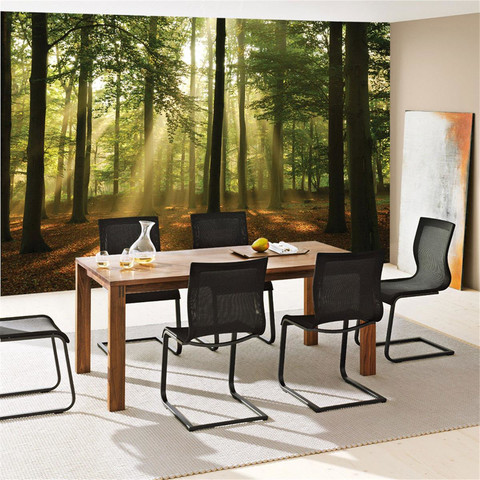 Fototapete Laubbaum Laubwald Sonne Sonnenstrahlen� no. 3287