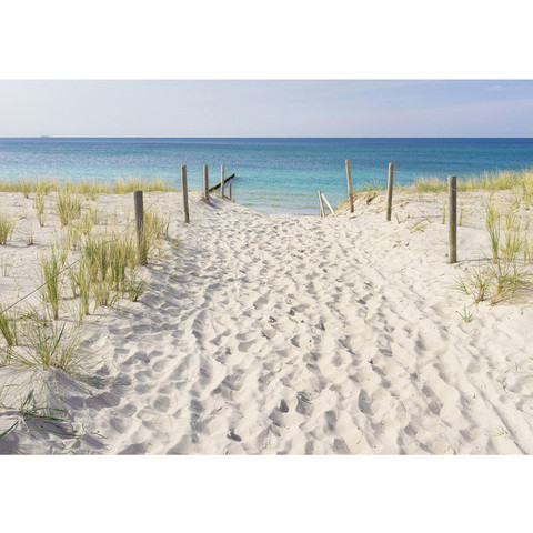 Fototapete Sand K�ste Schilf� no. 3297