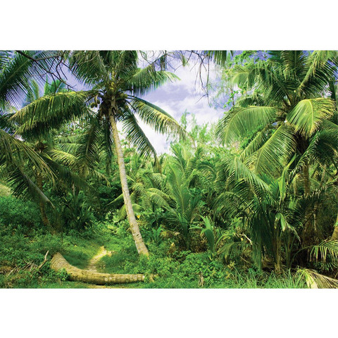 Vlies Fototapete no. 4485 | Natur Tapete Palmen Strand Tropisch Ausblick Pflanzen grn
