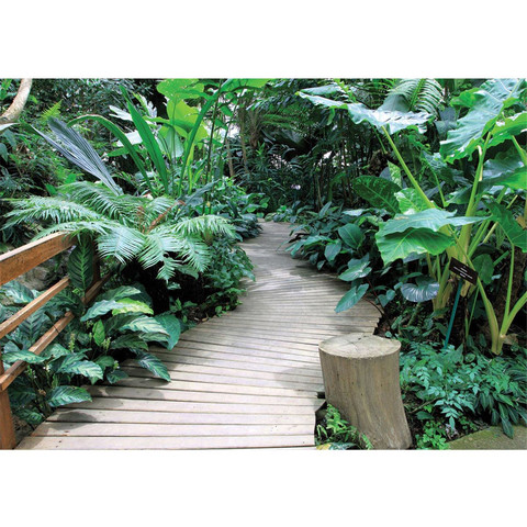 Vlies Fototapete no. 4487 | Natur Tapete Ausblick Weg...