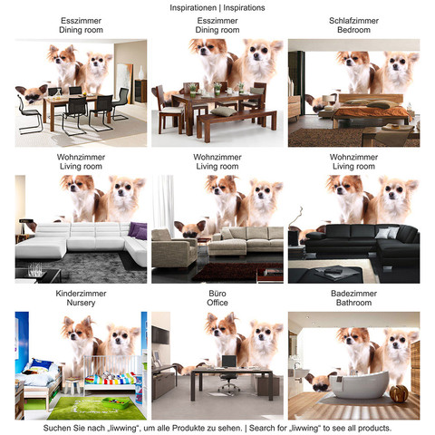 Fototapete Hund Tier Haus Freund Chihuahua� no. 4501