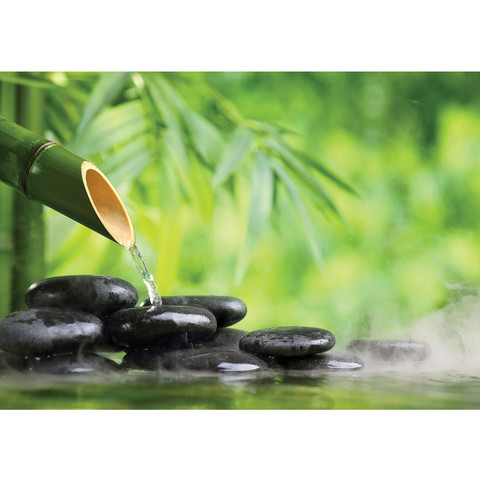 Vlies Fototapete no. 4523 | Wellness Tapete SPA Stein Bambus Wasser Pflanze grn