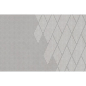 Design Tapete GRIGIO ARGENTO I Decorativi 56602-2