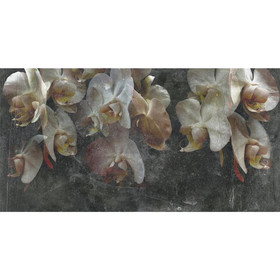 Design Tapete PAESTUM Collezioni dArte 70499-1