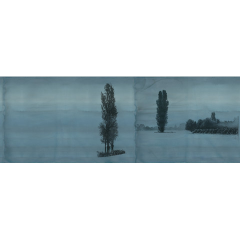 Design Tapete PENSIERO NATURALE Collezioni dArte 54300-1A