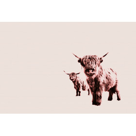 Highland Cows Art.Nr. 119829