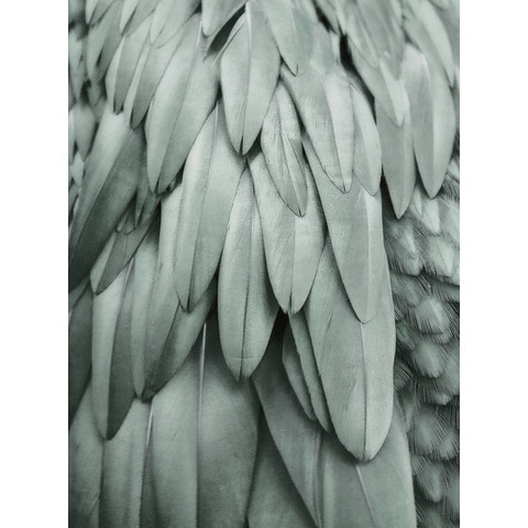 Feathers 2 Art.Nr. 119845