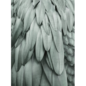 Feathers 2 Art.Nr. 119845