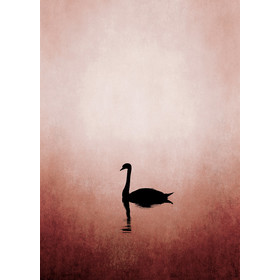 Swan Lake Art.Nr. 119917