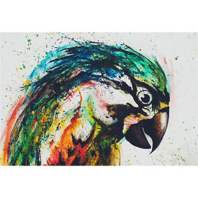 Parrot Art.Nr. 120041