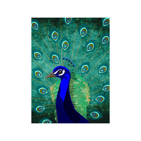 Peacock Art.Nr. 120045