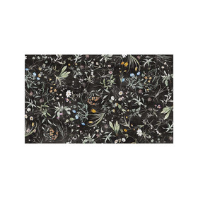 Fototapete ERBARIO ACG-33-B