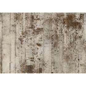 Tapete I Decorativi BILLY HOPE von Tecnografica 62087-1B