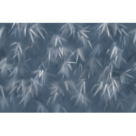 Tapete I Decorativi HAZE von Tecnografica 82150-2