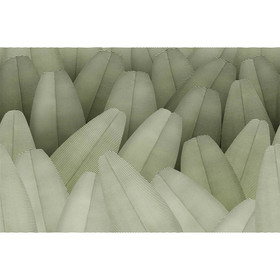 Tapete I Decorativi HONDURAS von Tecnografica 82064-3