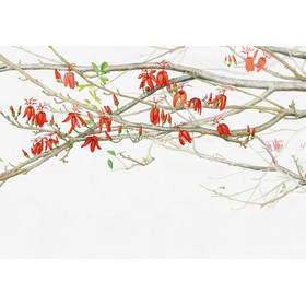 Tapete Collezioni dArte MATA PAU von Tecnografica 78610-2