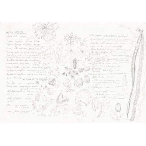 Tapete Collezioni dArte SEMINAMI von Tecnografica 78690-1