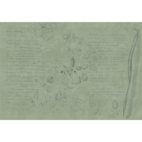 Tapete Collezioni dArte SEMINAMI von Tecnografica 78690-4