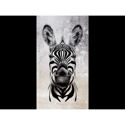 Fototapete Cool Zebra 2516N-81