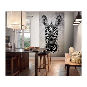 Fototapete Cool Zebra 2516N-81