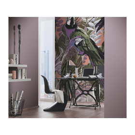 Fototapete Cheeky parrots 2518N-82